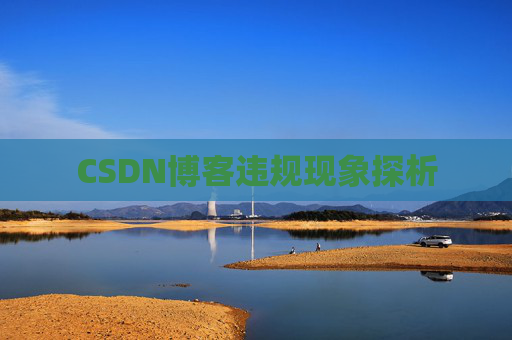 CSDN博客违规现象探析